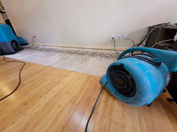 Professional Burst Pipe Water Damage technician working in Edwards, CO